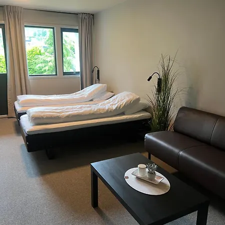 Hotel Elvehagen