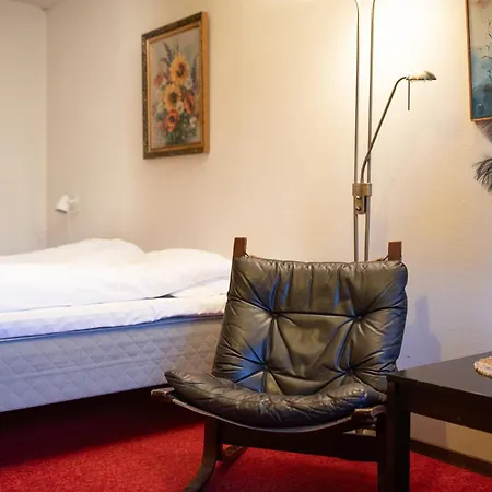 Hotel Elvehagen *